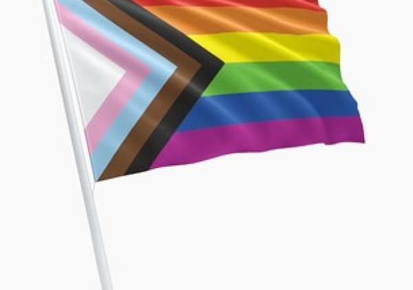 Progress-prid vlag